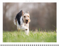 2026, Bold Typography