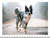 2026, Bold Typography