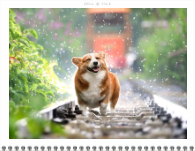 2026, Bold Typography