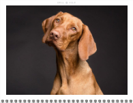 2026, Bold Typography