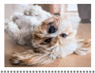 2026, Bold Typography