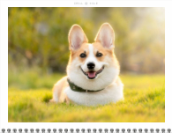 2026, Bold Typography