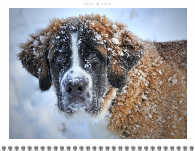 2026, Bold Typography