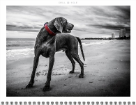 2026, Bold Typography