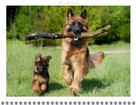 2026, Bold Typography