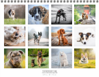 2026, Bold Typography