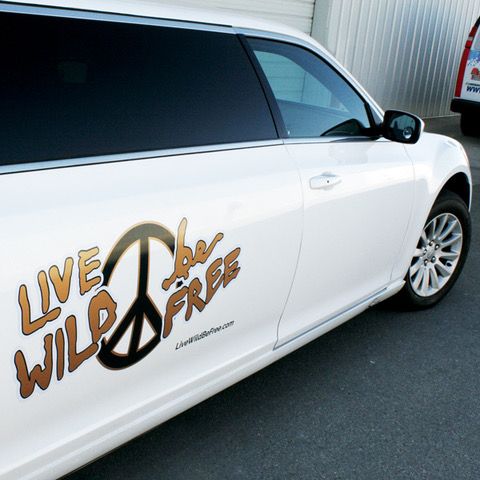 Full color vehicle graphics