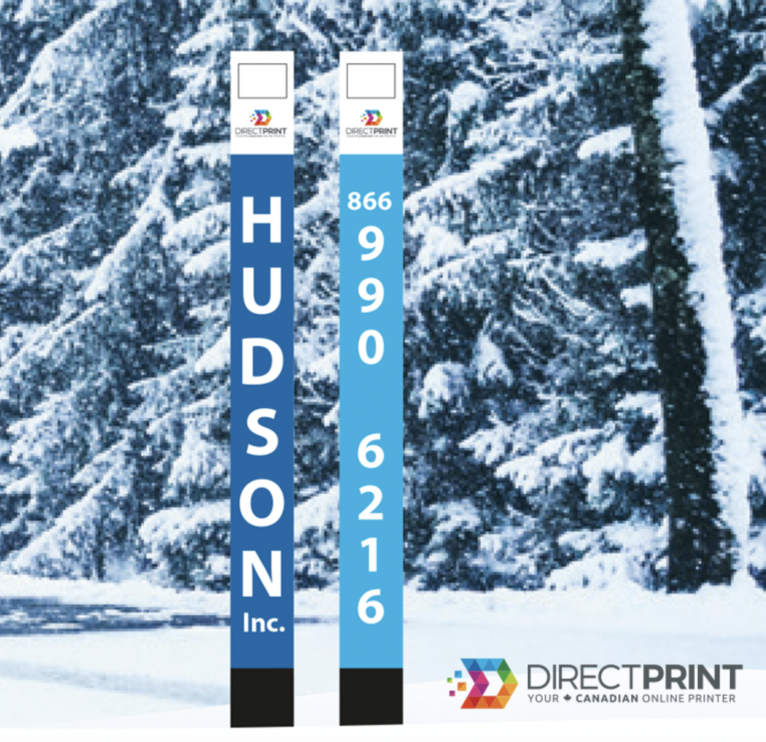 Snow driveway markers