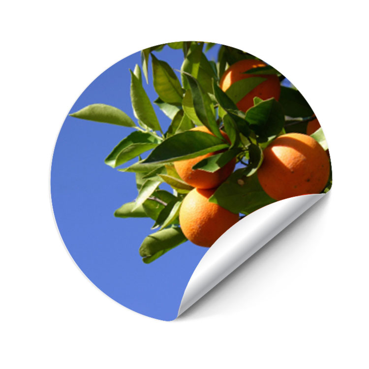 Round Stickers with UV Coating