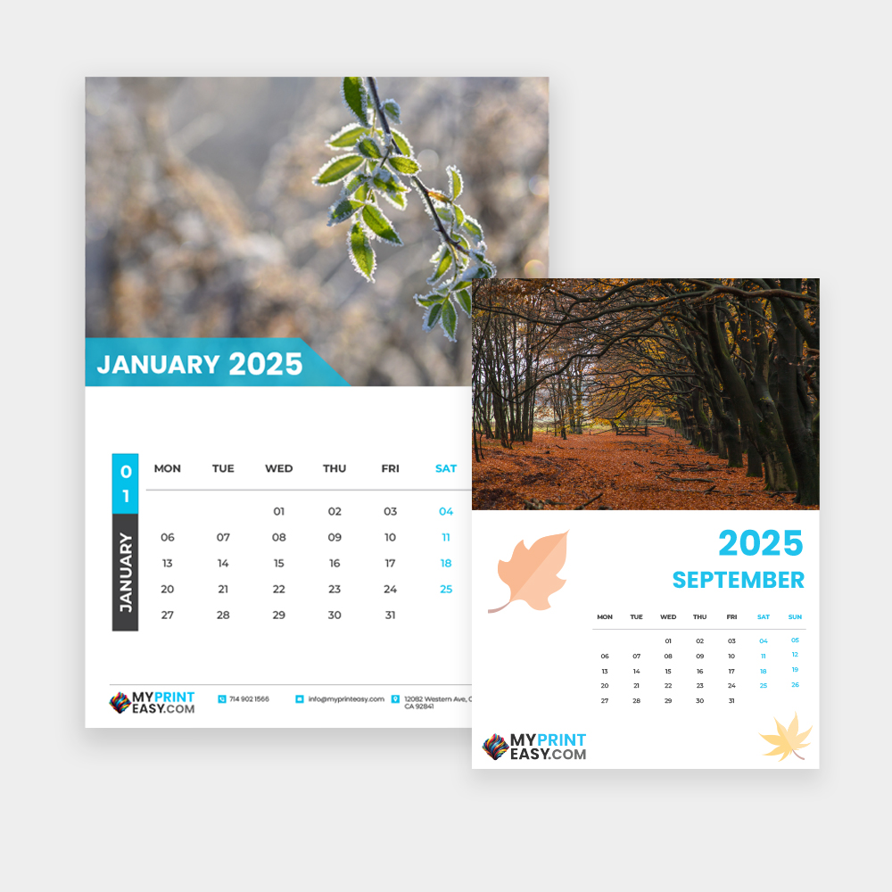 2025 12 Month Calendar Printing