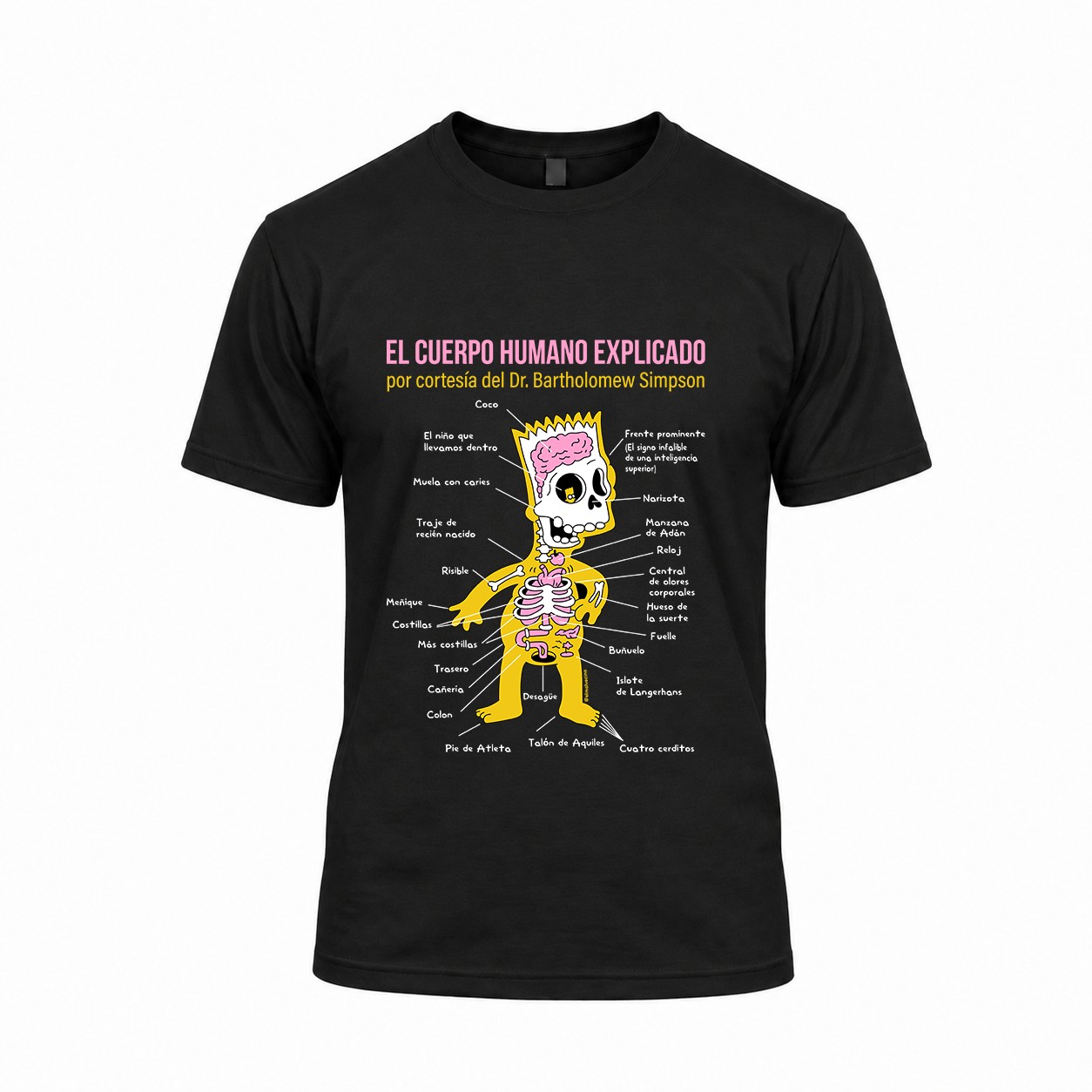 Polera “El cuerpo humano explicado”