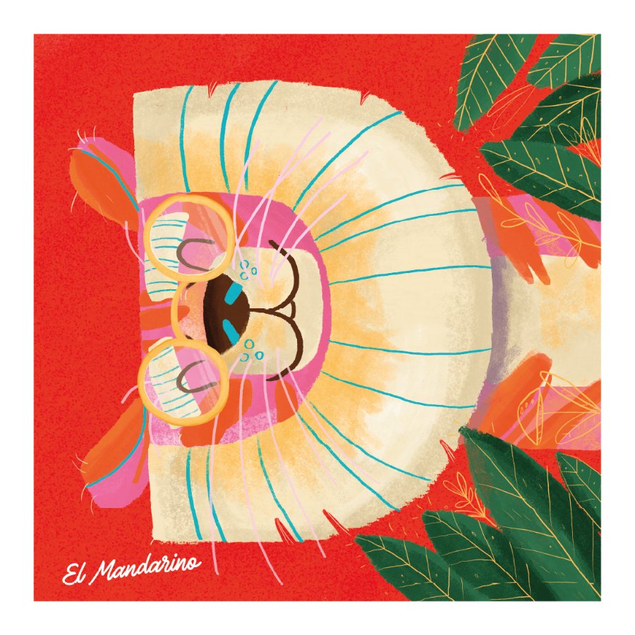 Lámina “Letra D”