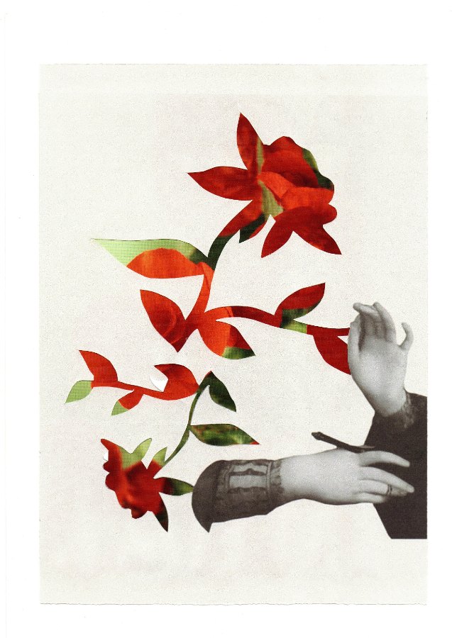Lámina “Manos y Flores”