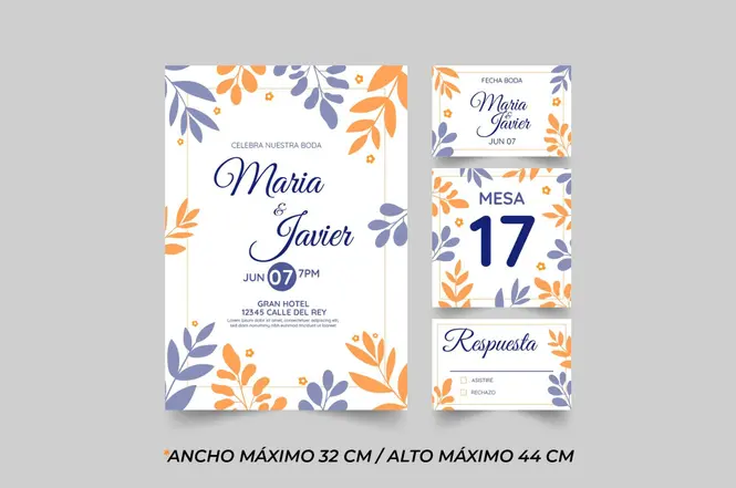 Partes de Matrimonio 1