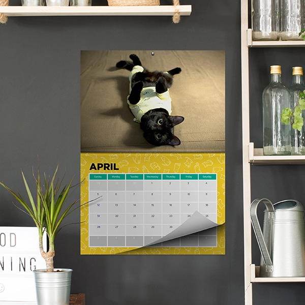 Calendars