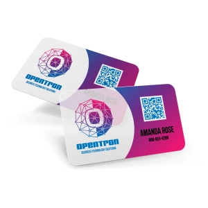 Frosted Plastic Business Cards
