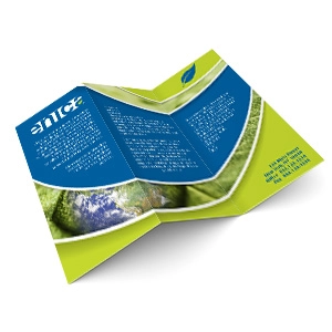 Z-Fold Brochures