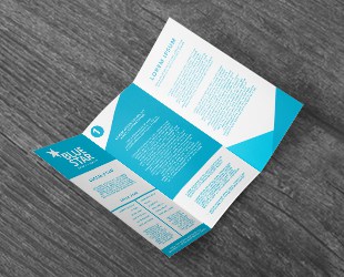 Digital Printed Brochures