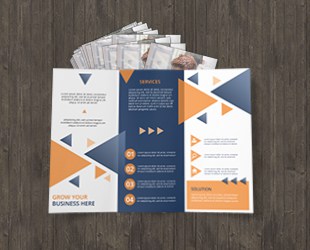 Bulk Brochures