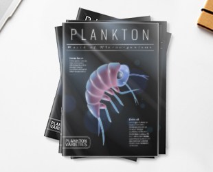 Bulk Magazine Printing