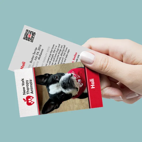 https://d2zn16t8uygl6t.cloudfront.net/printleaf/images/product/Pet-Cards-600x600.jpg