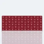20x8 ft Fabric Step and Repeat 5