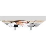 4 ft x 6 ft Vector Frame Backlit Display 4