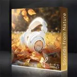 8 ft SEG Backlit Popup Display 1