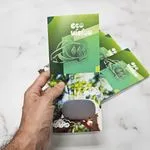 Same Day Brochures 2