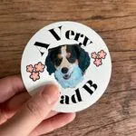 Circle Stickers 2