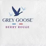 cocktail-napkin-grey-goose