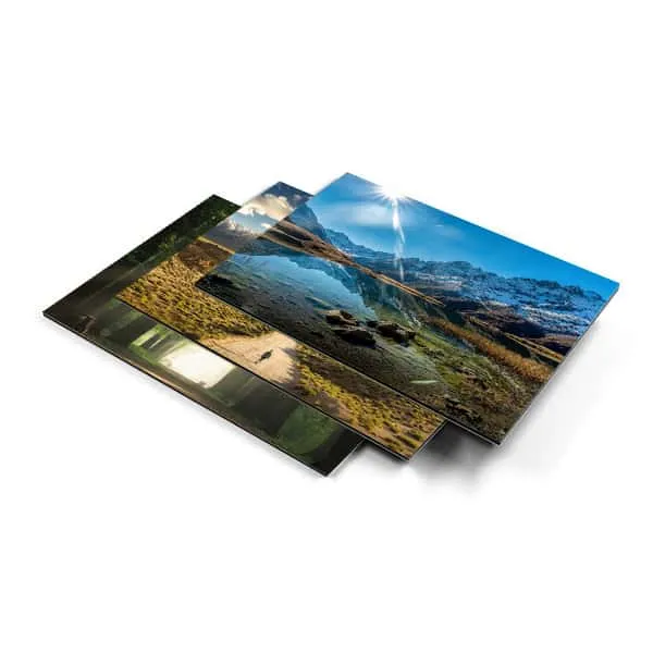 Dibond Signs 3