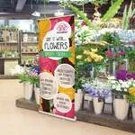 Economy Retractable Banners 9