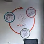 Wall Decals 5