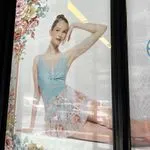 Perforated Window Decals 3