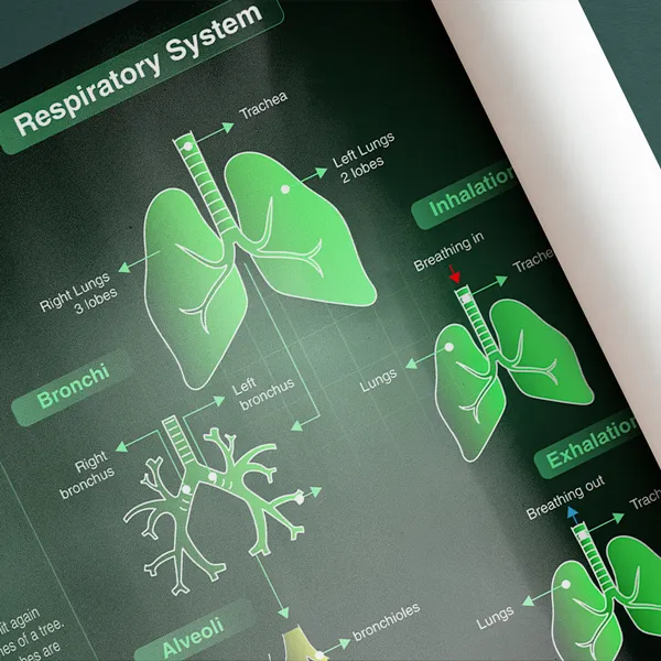 scientific-poster-close-up
