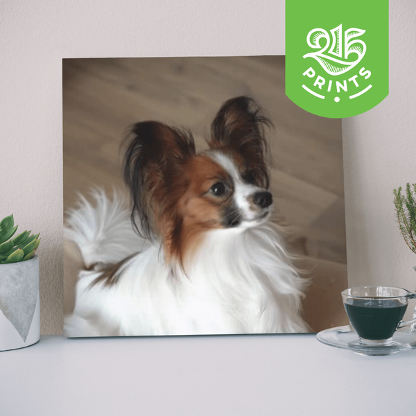 Acrylic Prints