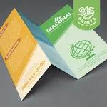 Real Estate Brochures