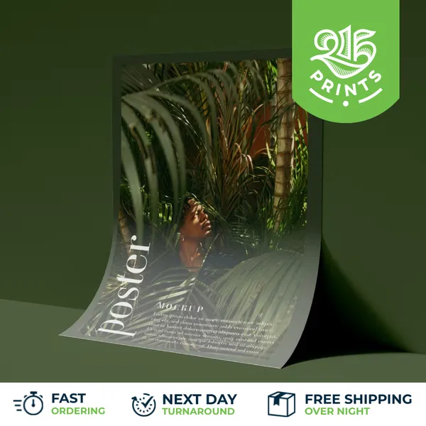 next day delivery posters