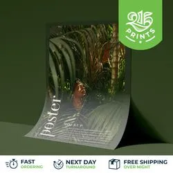 next day delivery posters