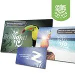 Spot UV Postcard