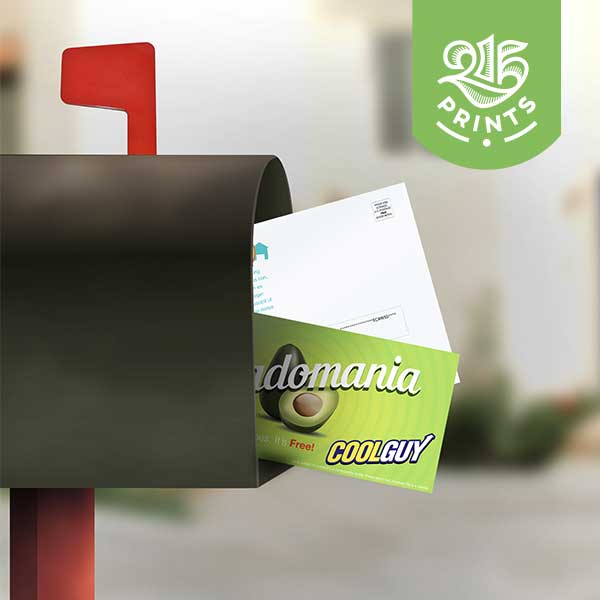 Every Door Direct Mail Printing Services 215 Prints
