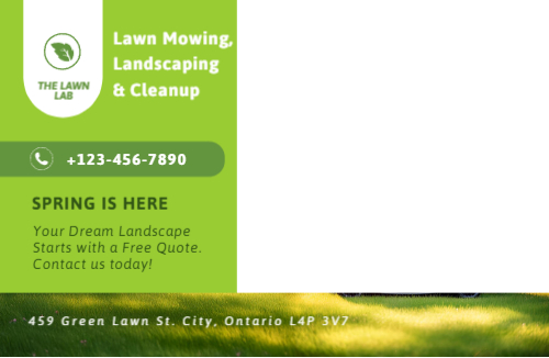 Lawn Services