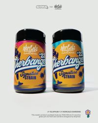 NorCals Garden's - MIRON Jars