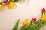 My Flowers Posters