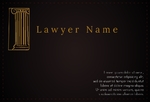 Trial Lawyer 