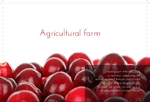 agriculture-postcard-2