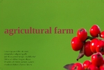 agriculture-postcard-8