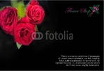 postcard-17