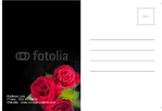 postcard-17